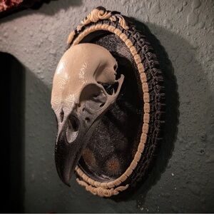 Gothic Magnet Raven Skull in Ornate Frame